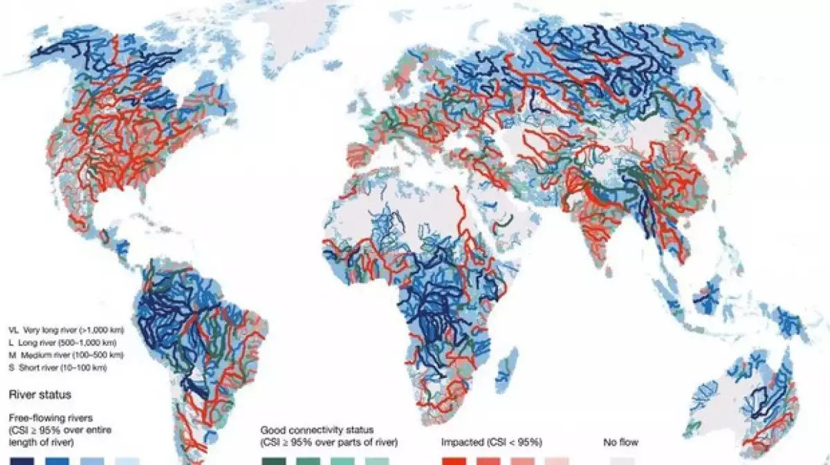 Mapa balanç de l'estat natural dels rius més importants del món