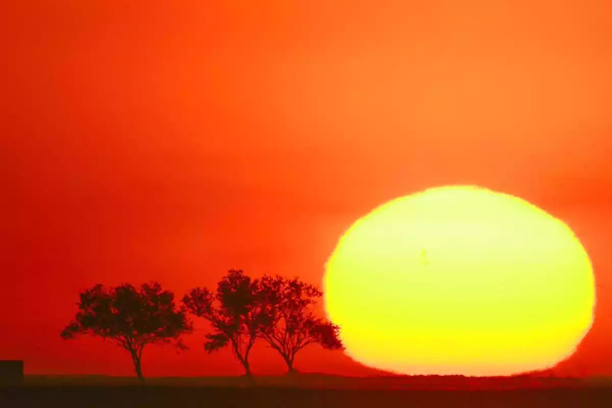 Imatge d'una espectacular sortida de sol al Delta de l'Ebre