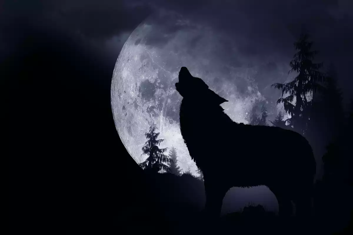 Imagen de una Luna llena en la noche de Halloween