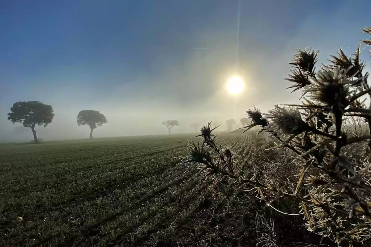 Imagen de una salida de sol entre nieblas en Palencia