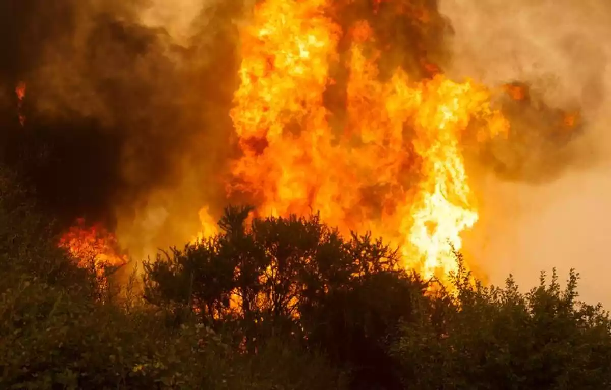 Imagen del incendio forestal de Chile