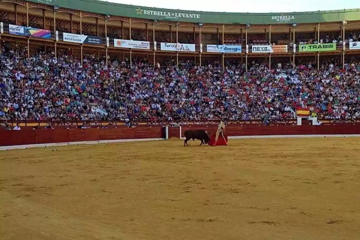 Plaza de toros de Murcia