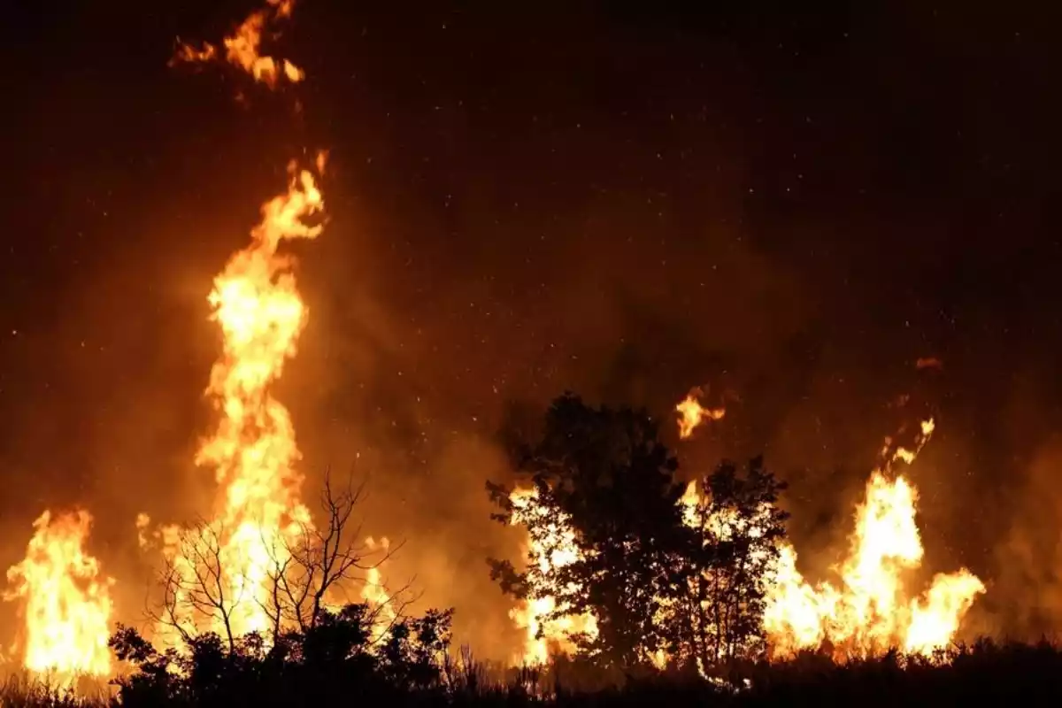 Imagen del incendio en la provincia de Orense la pasada noche