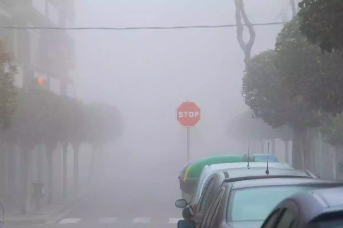 Imagen de una calle llena de niebla en España