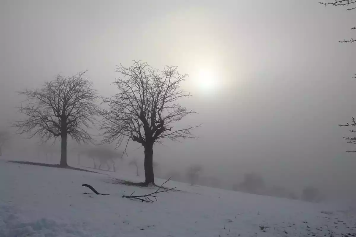 Imagen de una montaña con nieve y niebla