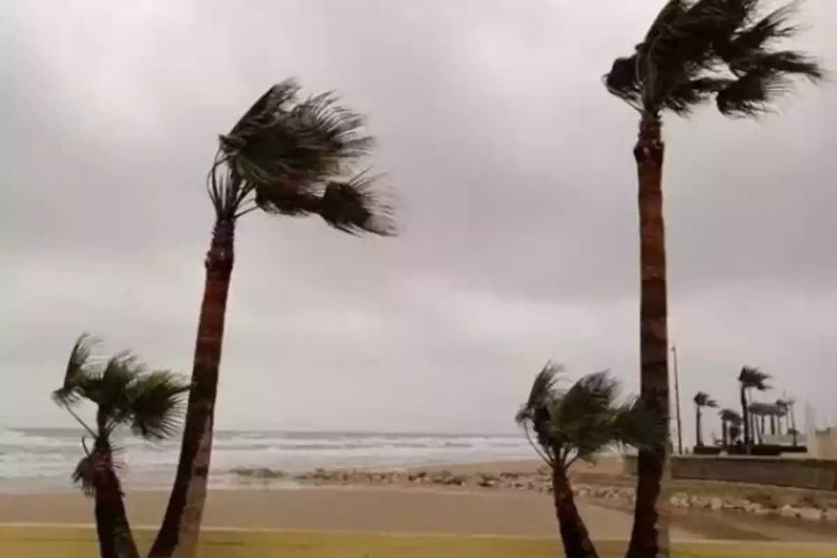 Imagen de una playa mediterránea con un fuerte temporal