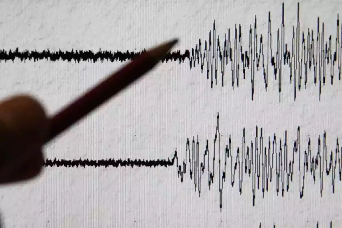 Imagen de un sismógrafo