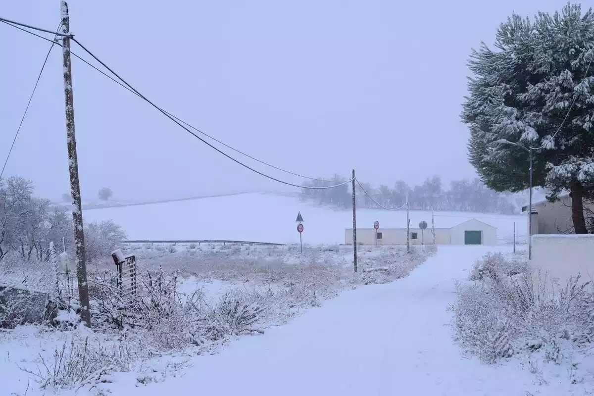 Imagen de una nevada en Castilla-la Mancha