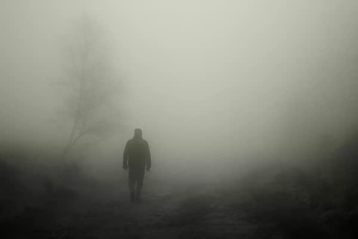 Un hombre caminando por un bosque con una densa niebla alrededor