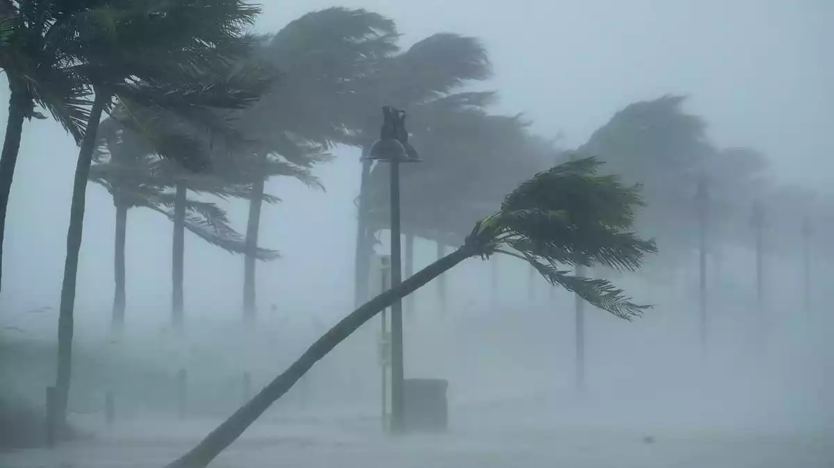Imagen de los efectos de un fuerte huracán